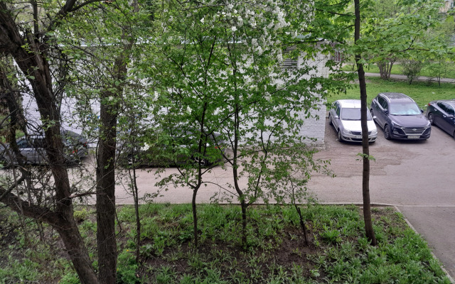 Квартира евродвушка