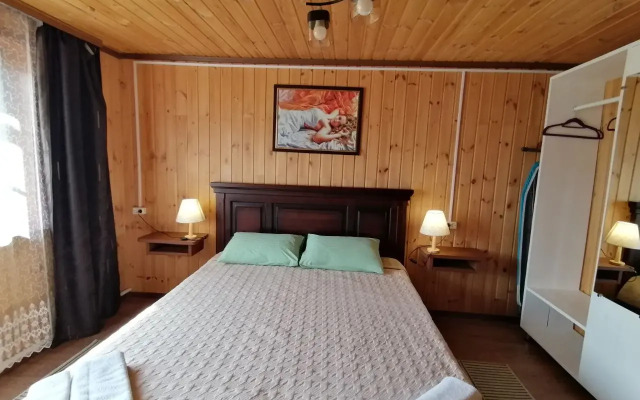 Domovyonok Guest house