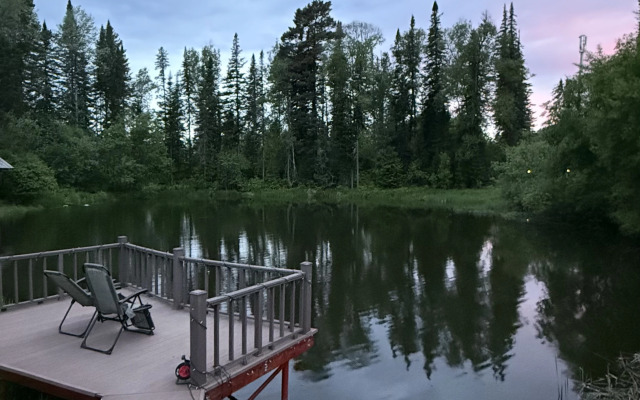 Recreation camp Altay Forest Glamp