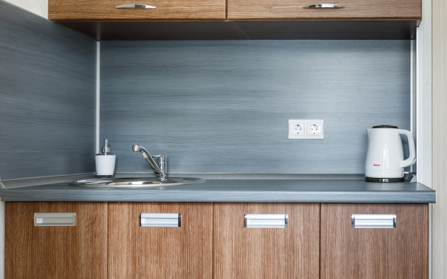 Двухместная улучшенная мини-студия Авион