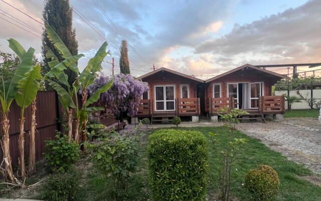 Viktoriya Private House