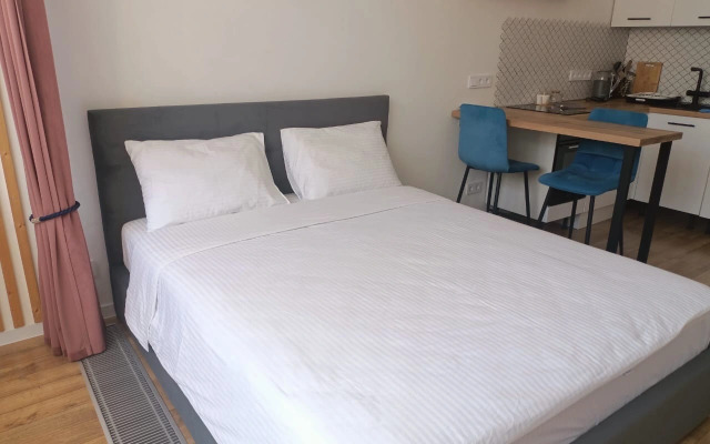 Studiya na Lenina 202k1 Flat