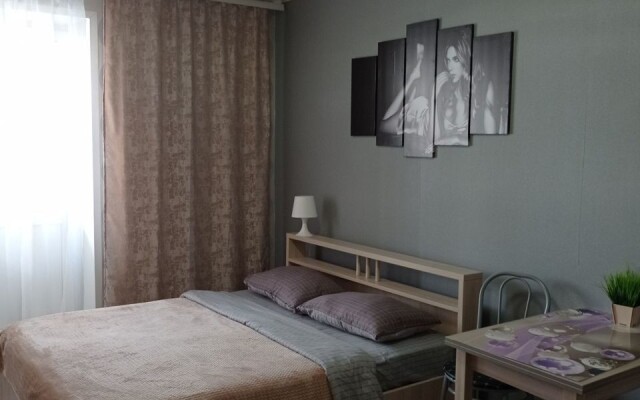 Studiya V Noginske Flat