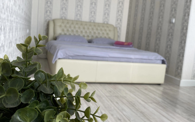 Квартира на Чкалова 65 (2/16)