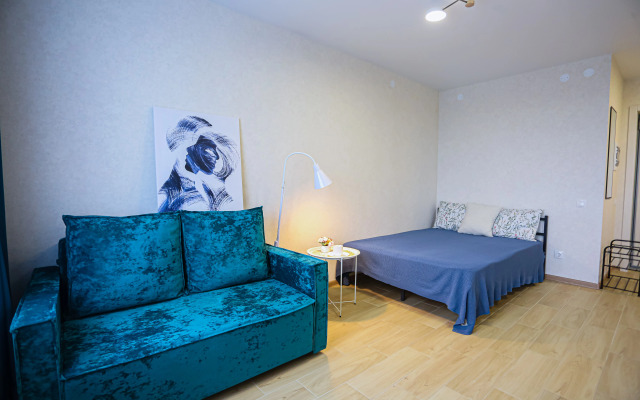 U Petrovny uyutnaya Studiya Flat