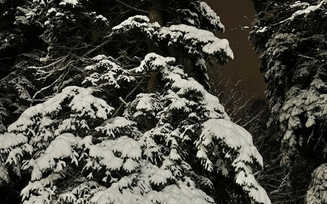 База отдыха Горница