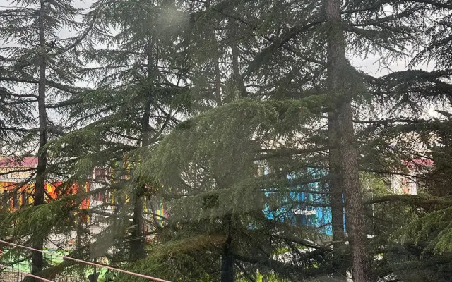 Gnezdyshko Apartments