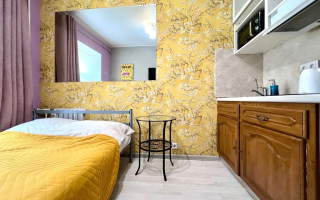 Квартира студия на Невском 14кв