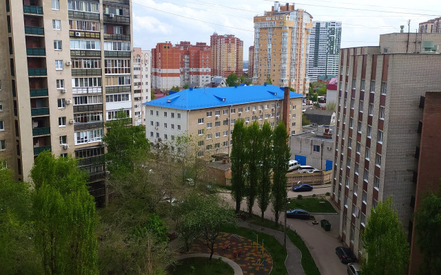 Апартаменты  "День & Ночь" Джунгли