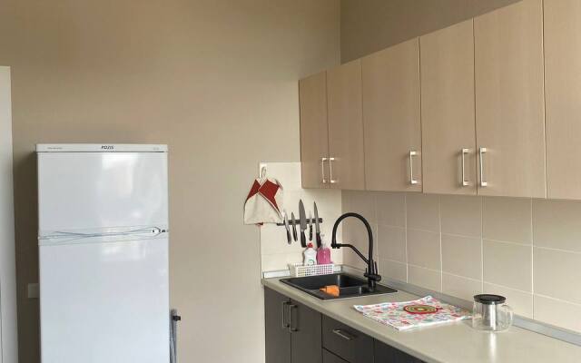 Inno-1 Flat