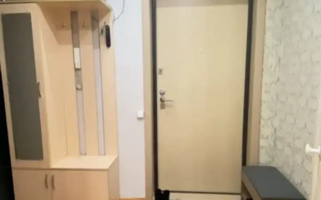 Uyutnaya Svetlaya V Tsentre Flat