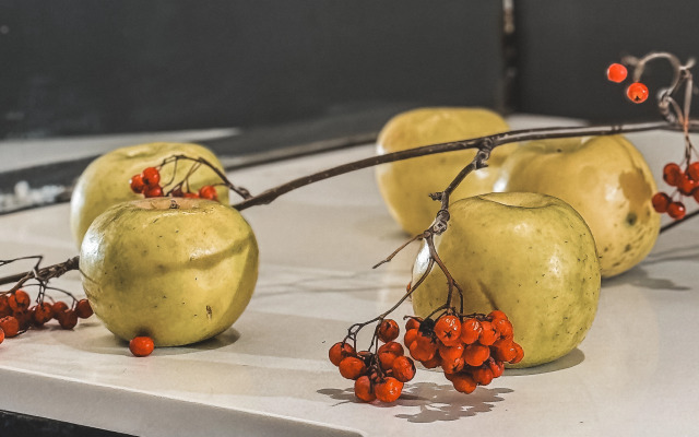 Тихая квартира в центре деловой жизни