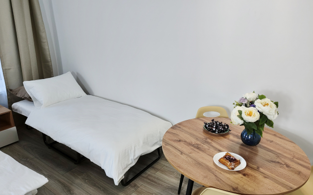 Квартира Студия на Яна Фабрициуса 2\4а (1)