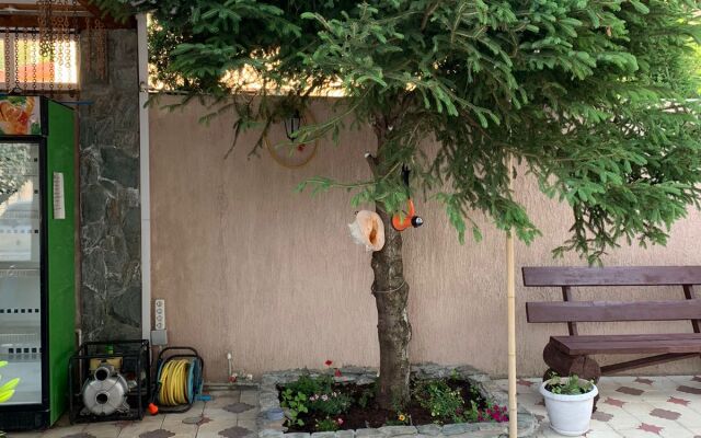 Lyudmila Guest House