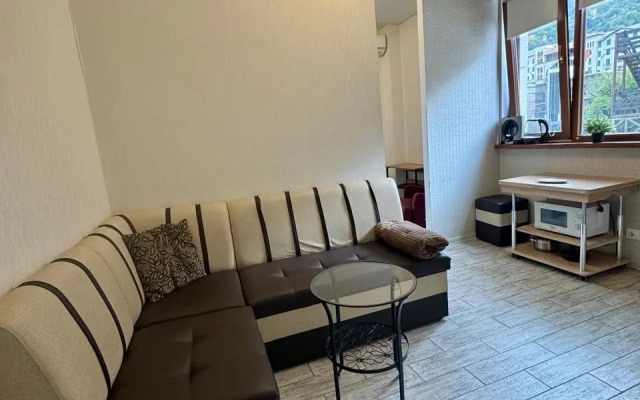 Studiya S Balkonom V Tsentre Estosadka Flat