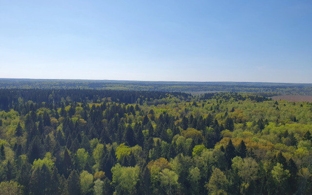 Квартира С Прекрасным Видом на Природу