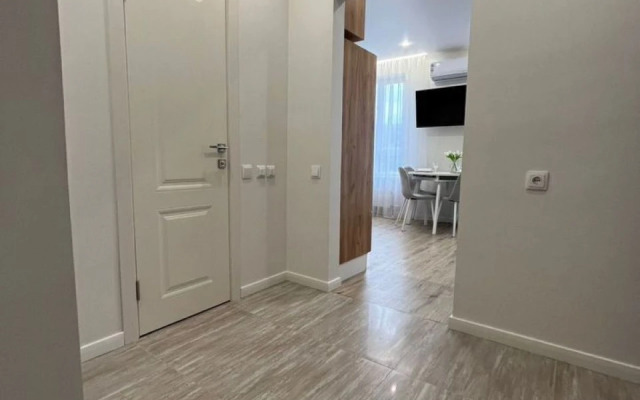 Квартира просторная и уютная студия в Сочи