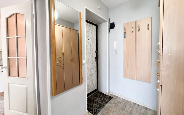 Odnokomnatnaya  Zelyonoy Rosche Flat