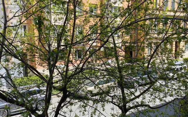 Na Staronevskom Guest House