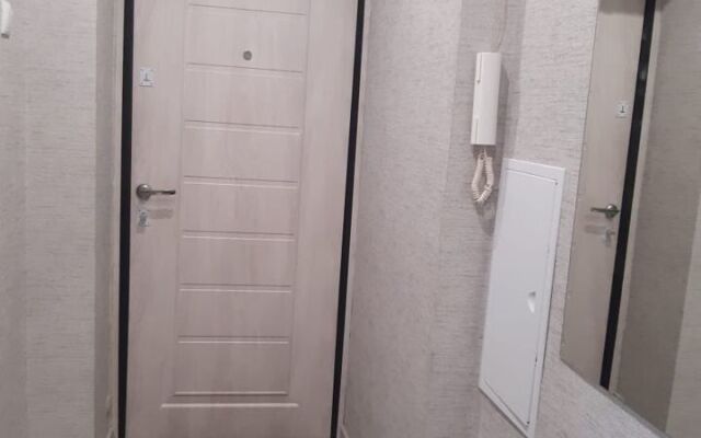 Na Pushkinskom Prospekte 4b Flat