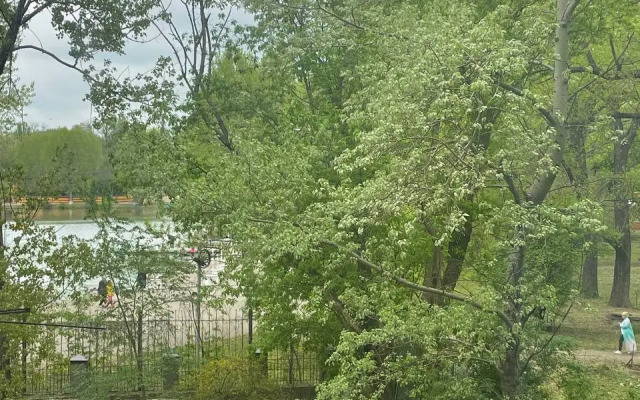 Kvartira v Parke imeni Kirova Flat
