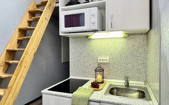 Квартира 2 Ночи на Съезжинской улице 27