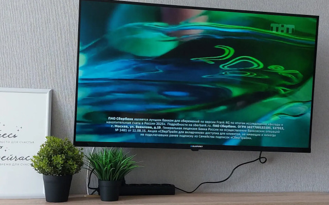 Novaya Uyutnaya Flat