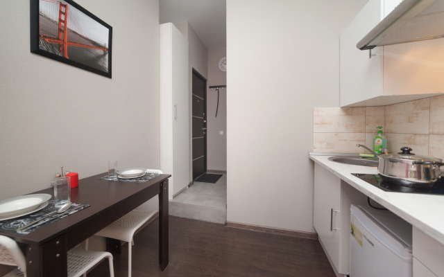 Studiya Na Voronitsyna Apartments