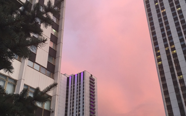 Izmaylovo Delta dobropozhalovaty Hotel