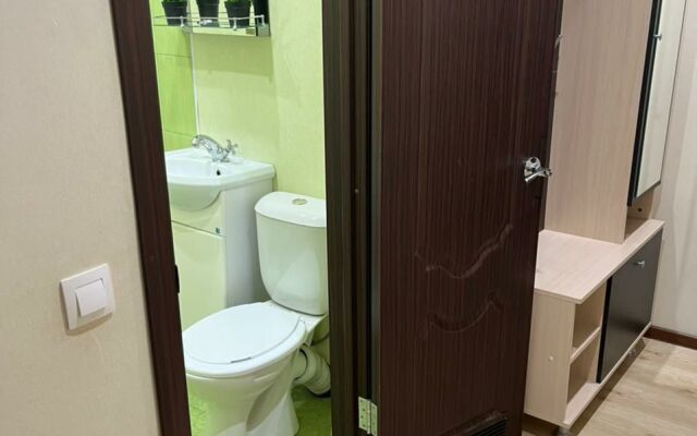 Апартаменты 1-комнатные в Центре Города на Ленина