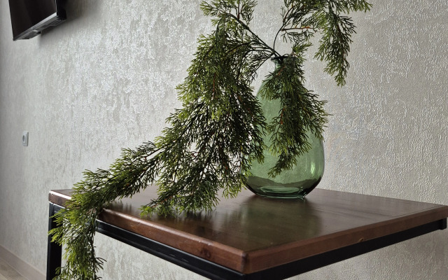 Квартира Альпы