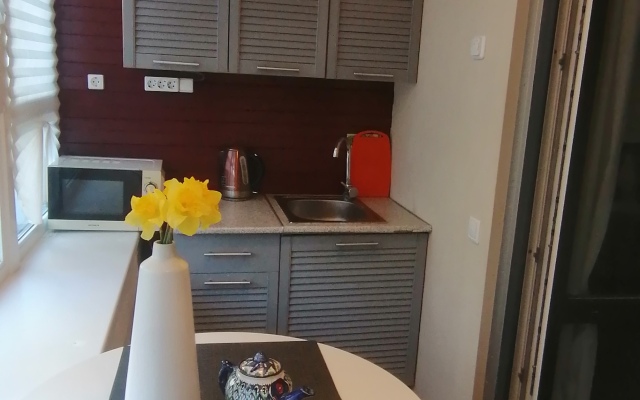 Апартаменты на бульваре Головнина 10