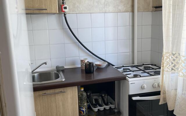 Квартира на троих в центре