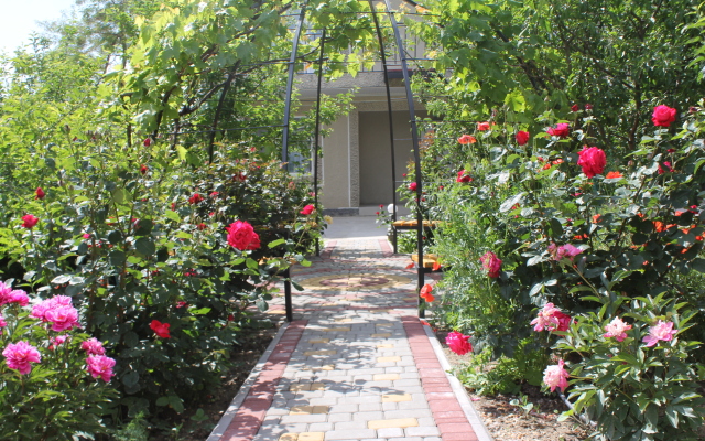Elena Guest House