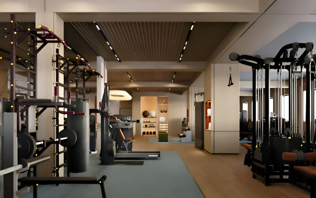Radisson Blu , Almaty Airport