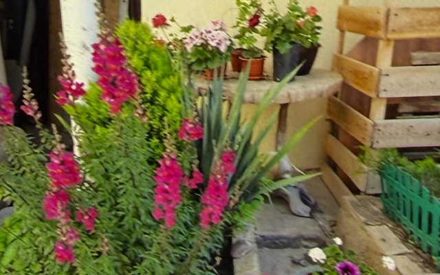 Гостевой дом Ника