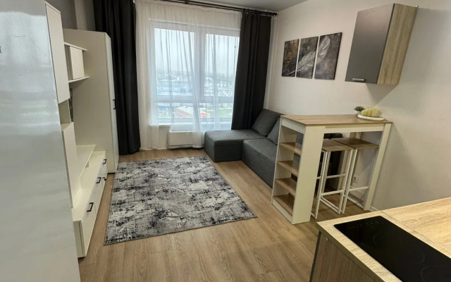 Uyutnaya Studiya Flat