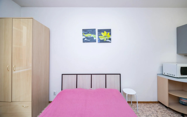 Квартира Уютная студия на Вильского 16