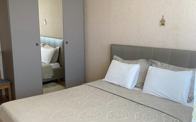 V Tsentre Apartments