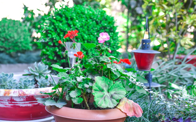 Sofiya Gruziya Kutaisi Ul, Zugdidskaya 17 Guest House