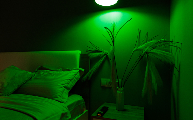 Unikalnye apartamenty v Kemerovo Flat