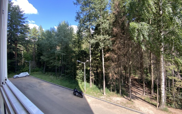 Квартира двухкомнатная (57кв.)  рядом с Зоо, ИжГТУ, Купол Семейная Botanika House