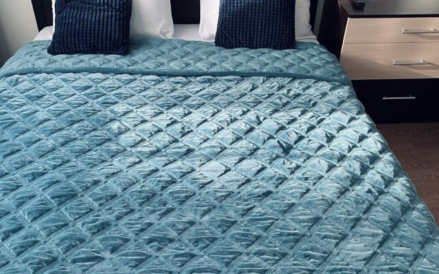 Апартаменты Алексапартментс