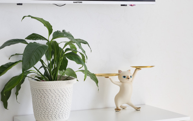 Апартаменты ONLY на Богатырском