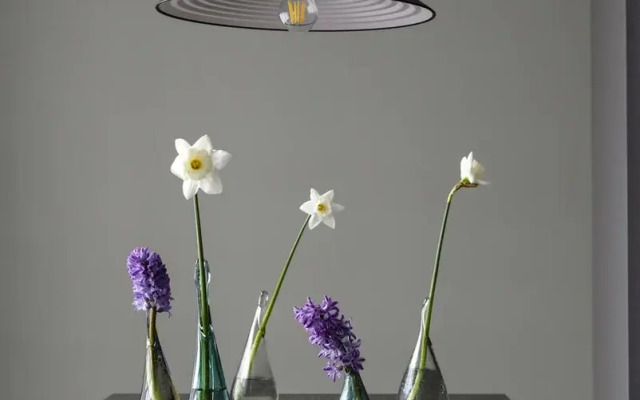 Апартаменты Malina Baden Family Terrace