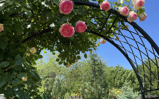 Квартира с большой террасой