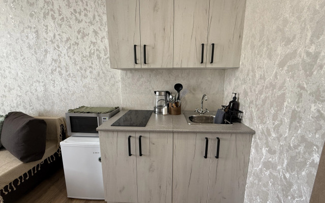 Квартира Студия в историческом центре Самары