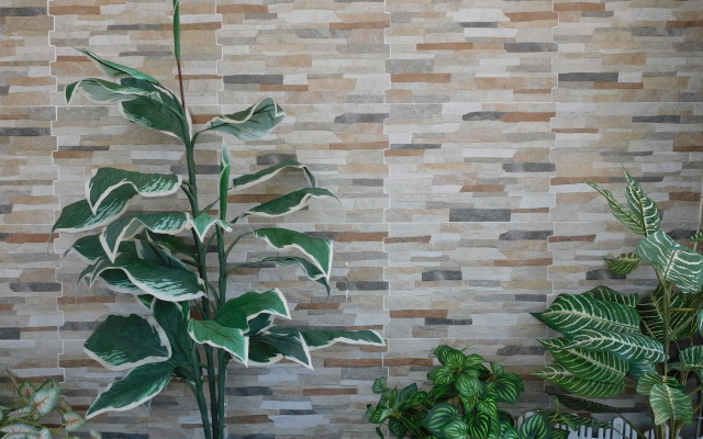 Отель Casa de Huespedes Nayomi By Rotamundos