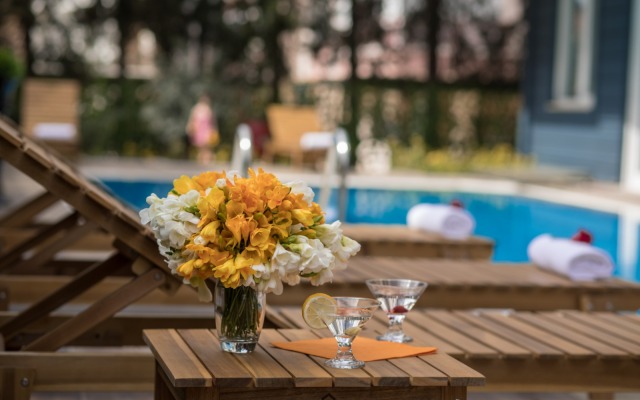 Elanis Suites