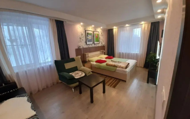 Апартаменты с 1 комнатой недалеко от проспекта Ленина (КВАРТИРА51)